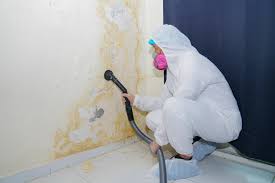 Mold Removal for HVAC Installations